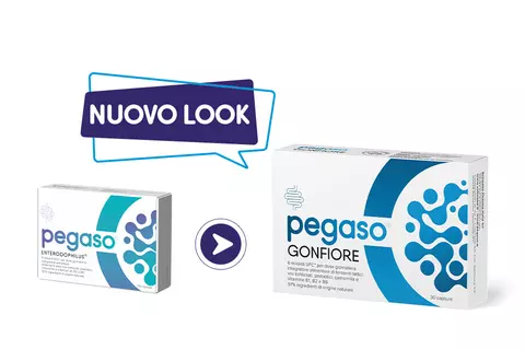 Cambio look Pegaso GONFIORE