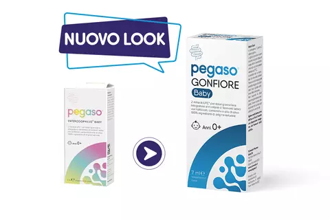 Cambio look Pegaso GONFIORE Baby
