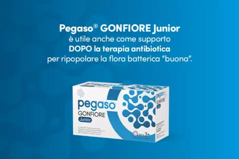 Immagine con pack prodotto e testo: "Pegaso® GONFIORE JUNIOR è utile anche come supporto DOPO la terapia antibiotica, per ripopolare la flora batterica “buona”."