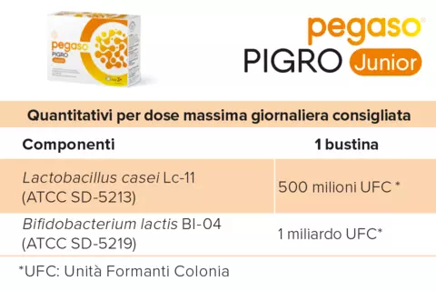 Tabella valori nutrizionali di Pegaso PIGRO Junior