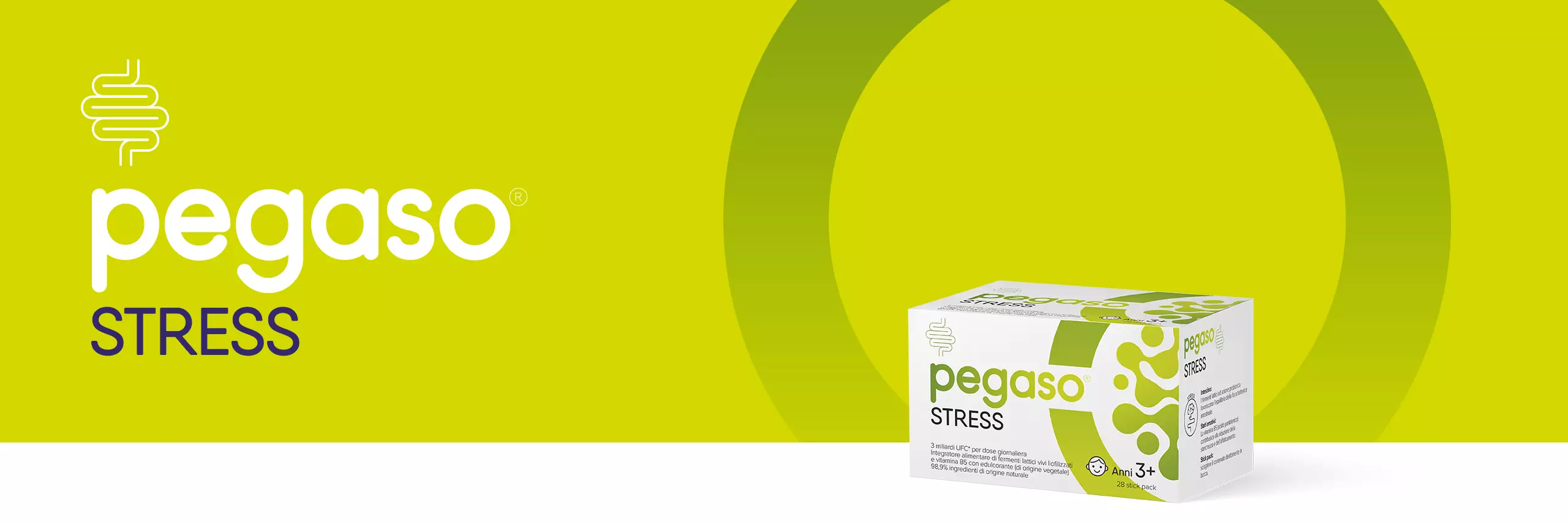 banner header pegaso stress