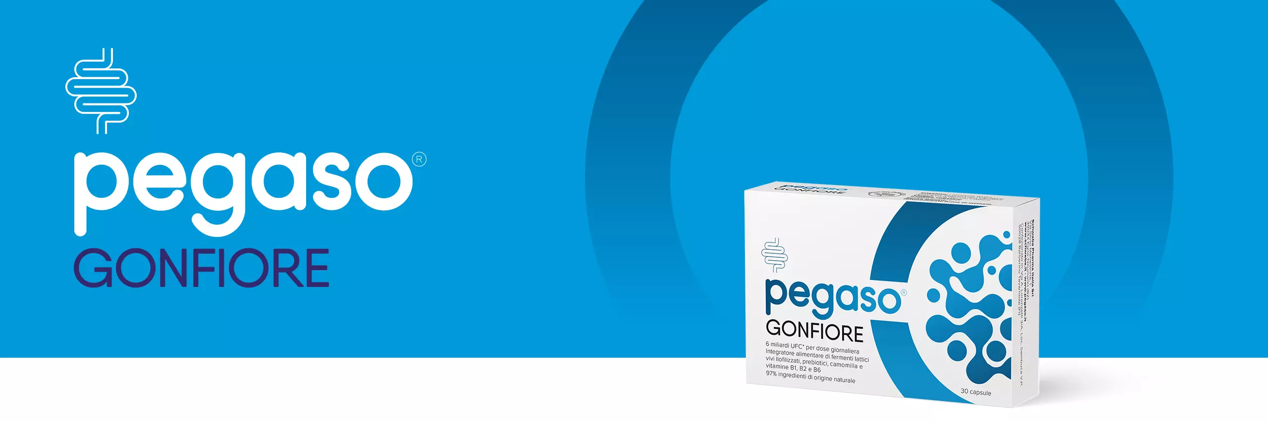 banner header Pegaso GONFIORE