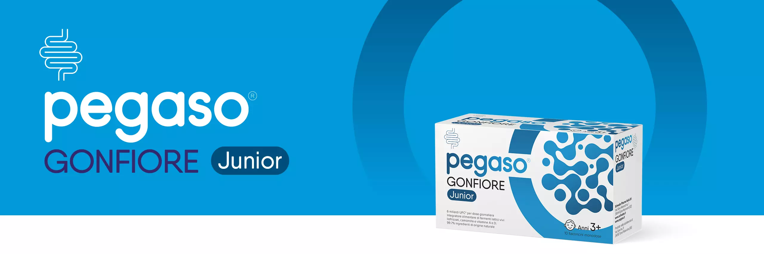 banner header Pegaso GONFIORE Junior