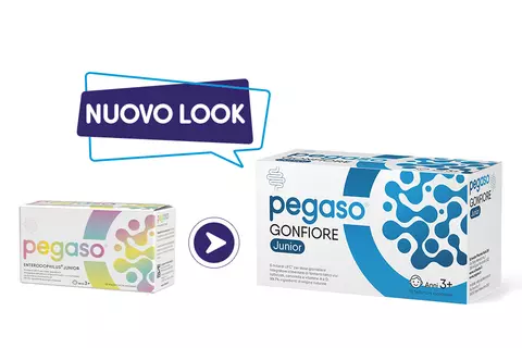Cambio look Pegaso GONFIORE Junior