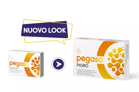 Cambio look Pegaso PIGRO