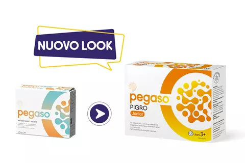 Cambio look Pegaso PIGRO Junior