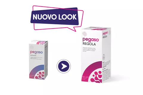 Cambio look Pegaso REGOLA