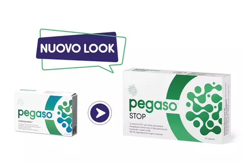 Cambio look Pegaso STOP