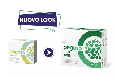 Cambio look Pegaso STOP Junior