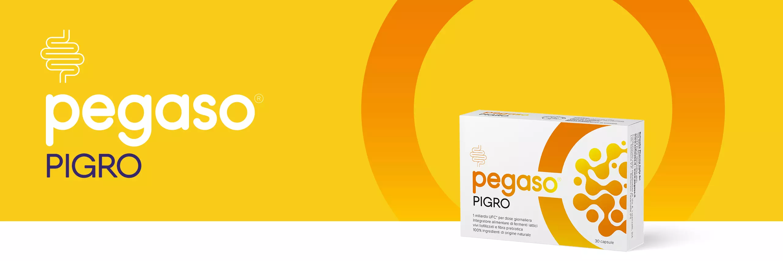 banner header Pegaso PIGRO