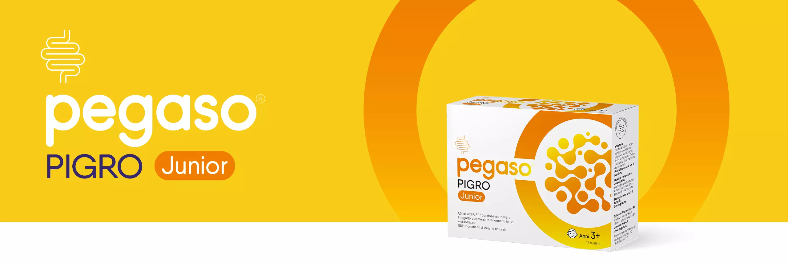 banner header Pegaso PIGRO Junior
