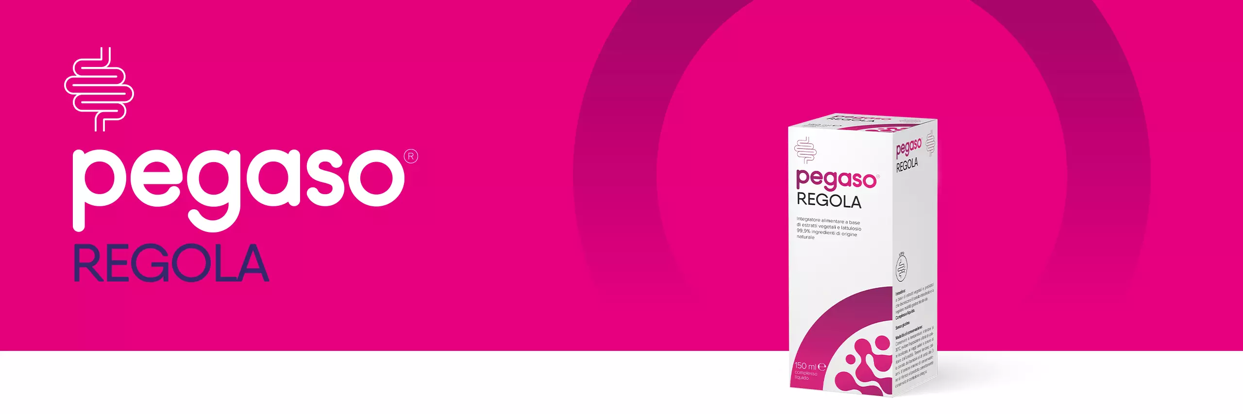 banner header Pegaso REGOLA