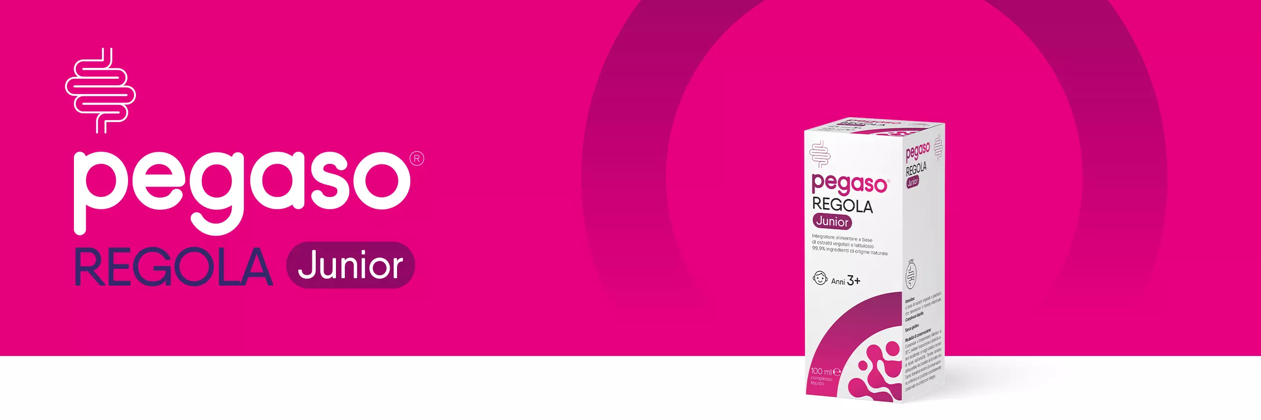 banner header Pegaso REGOLA Junior