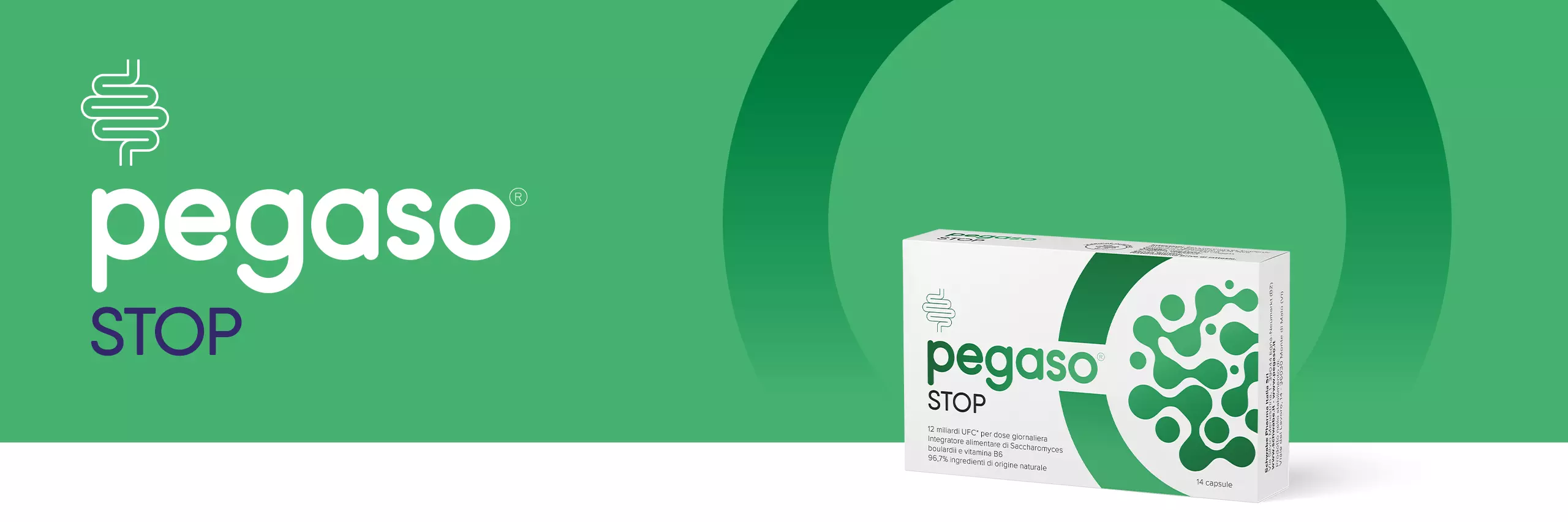 banner header Pegaso STOP