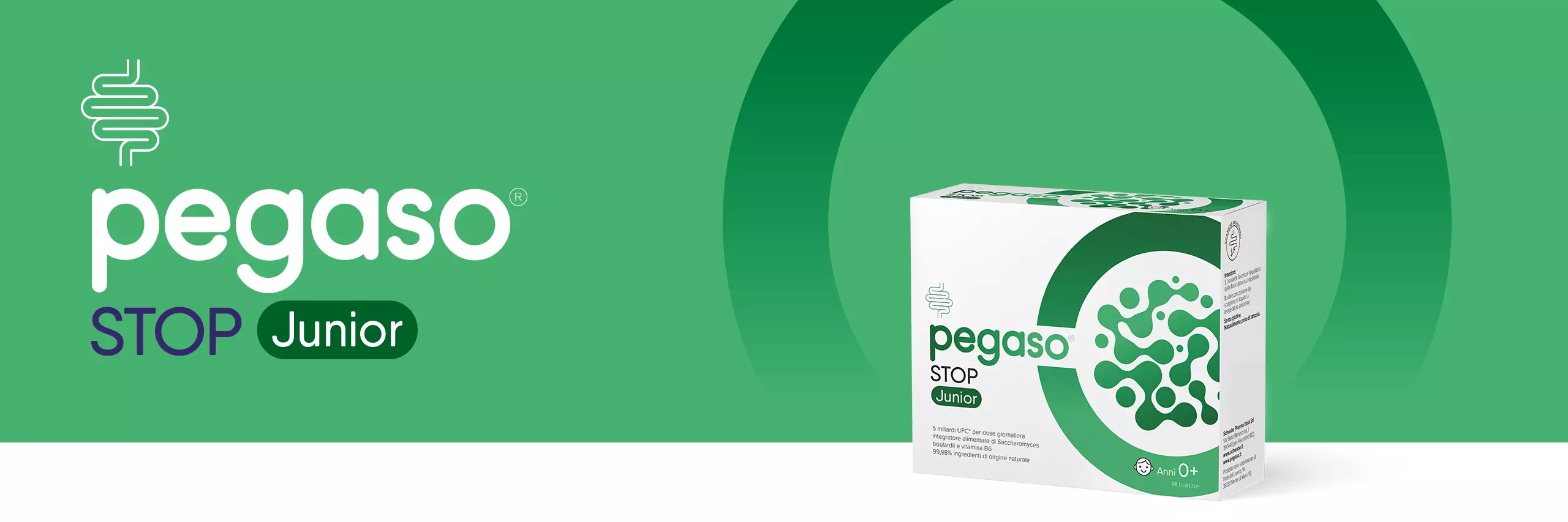 banner header Pegaso STOP Junior